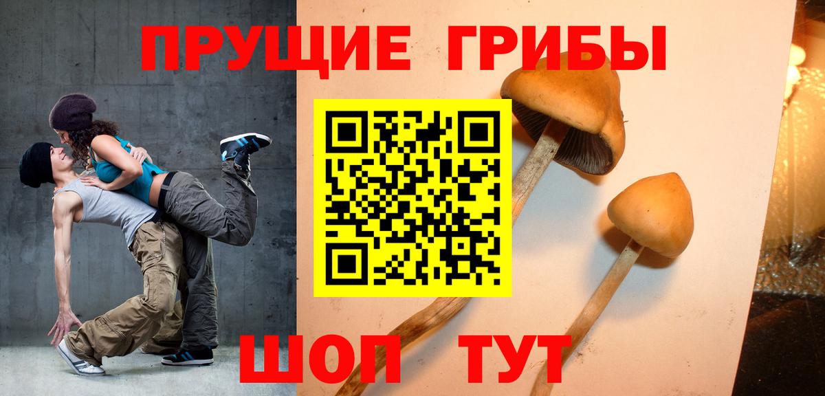 Псилоцибиновые грибы прущие грибы  Вход с VPN  Грязи 
