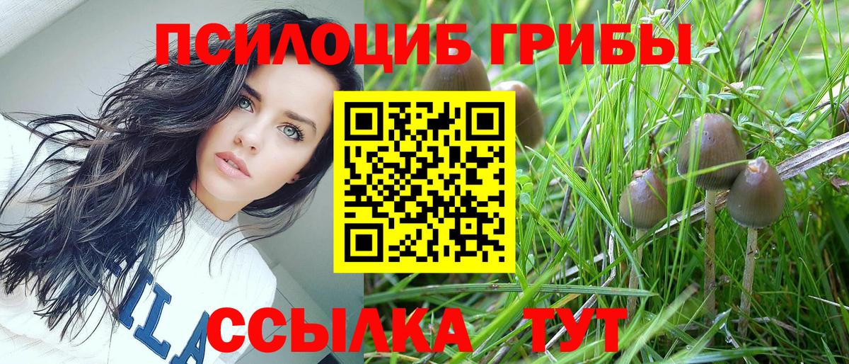 Галлюциногенные грибы Magic Shrooms Грязи
